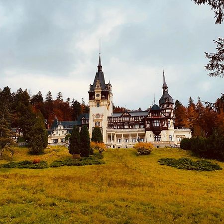 Wood Studio Sinaia Eksteriør billede