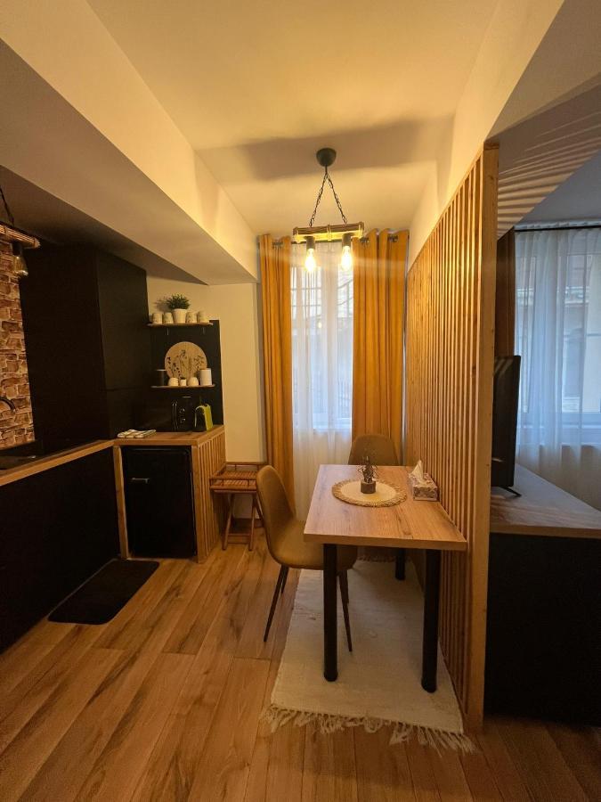 Wood Studio Sinaia Eksteriør billede