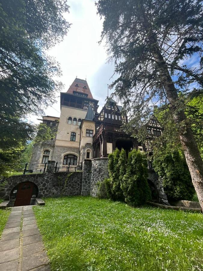 Wood Studio Sinaia Eksteriør billede