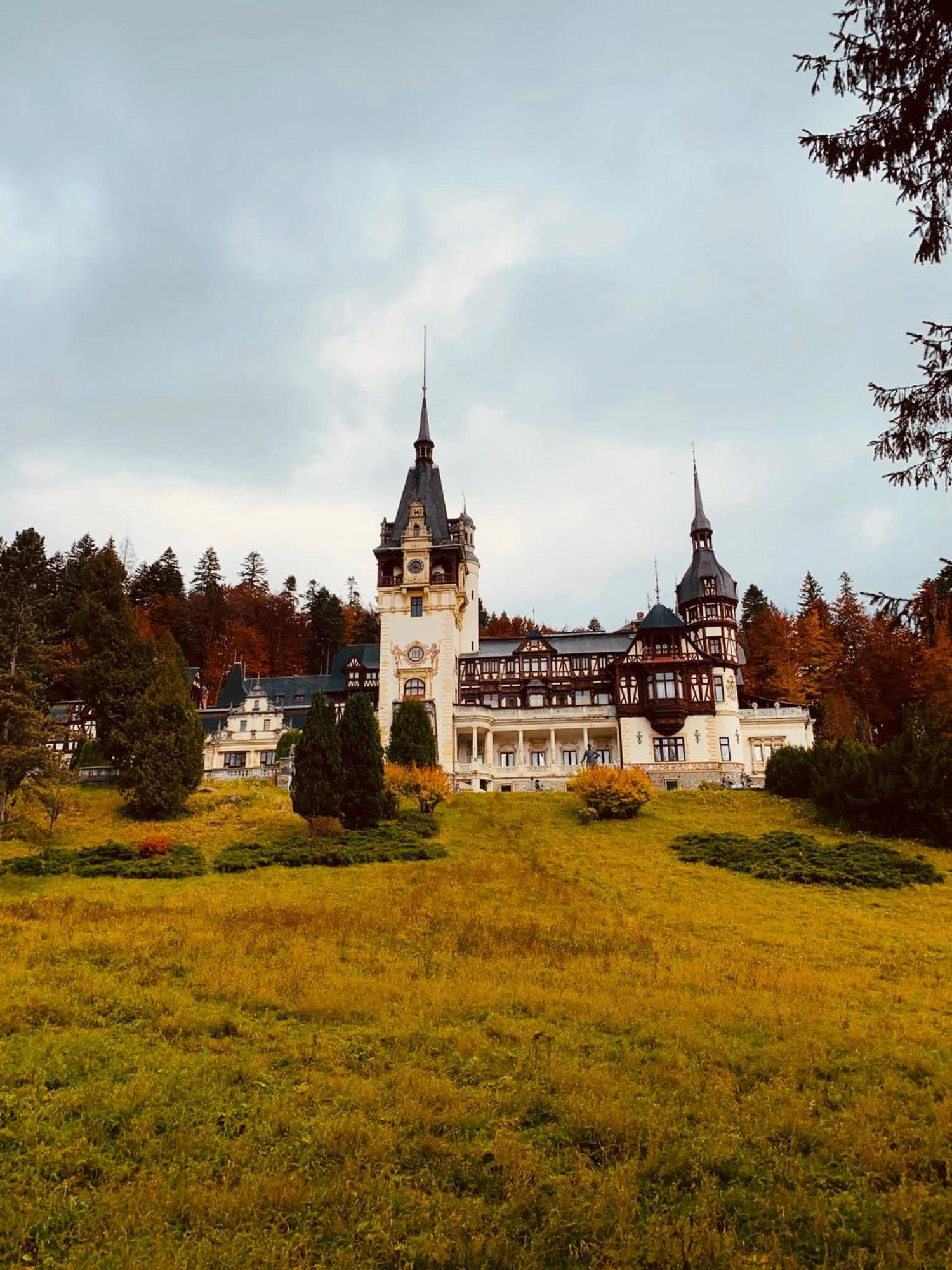 Wood Studio Sinaia Eksteriør billede